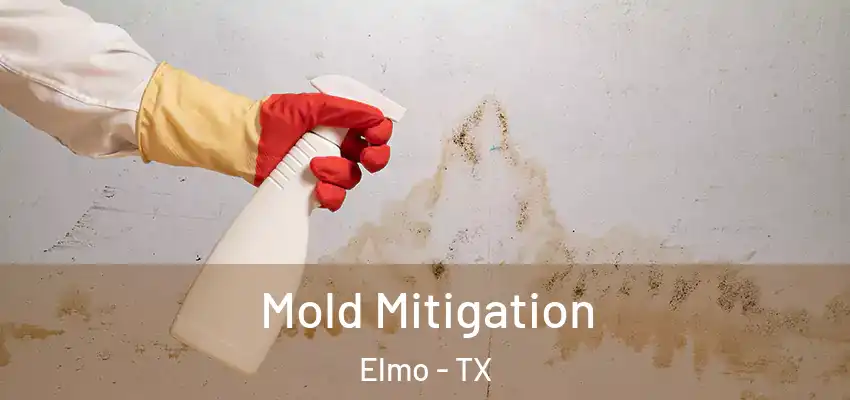  Mold Mitigation Elmo - TX