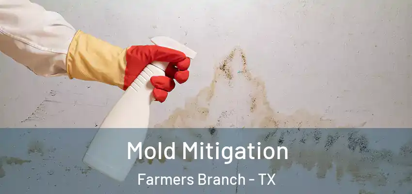  Mold Mitigation Farmers Branch - TX