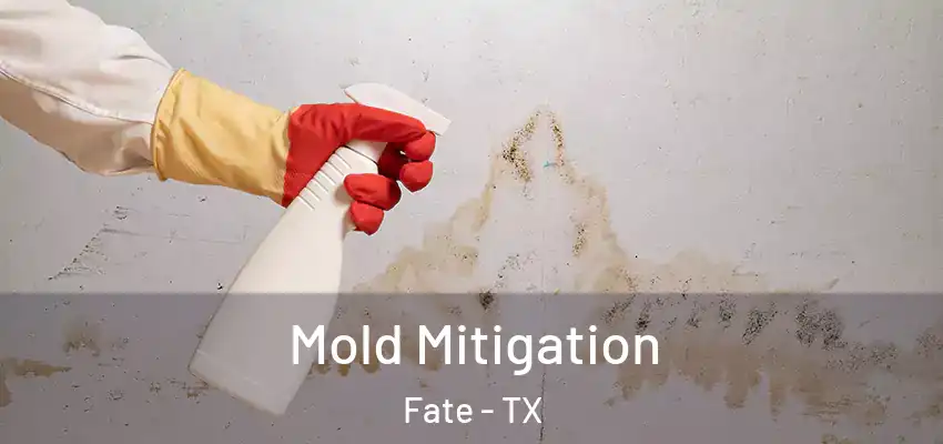  Mold Mitigation Fate - TX