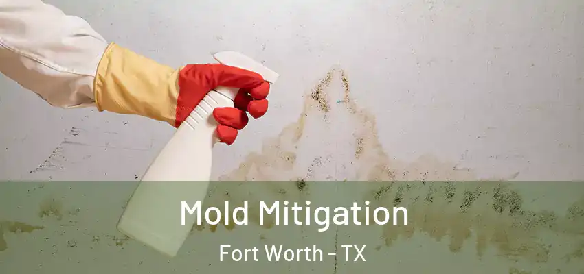  Mold Mitigation Fort Worth - TX