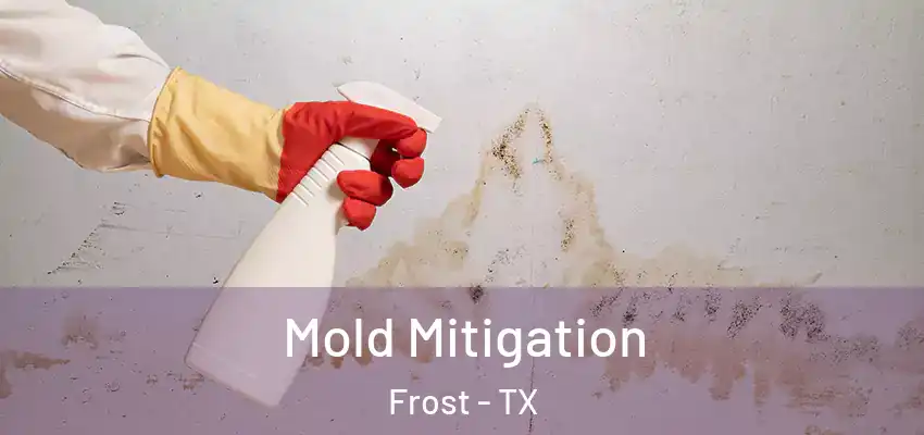 Mold Mitigation Frost - TX