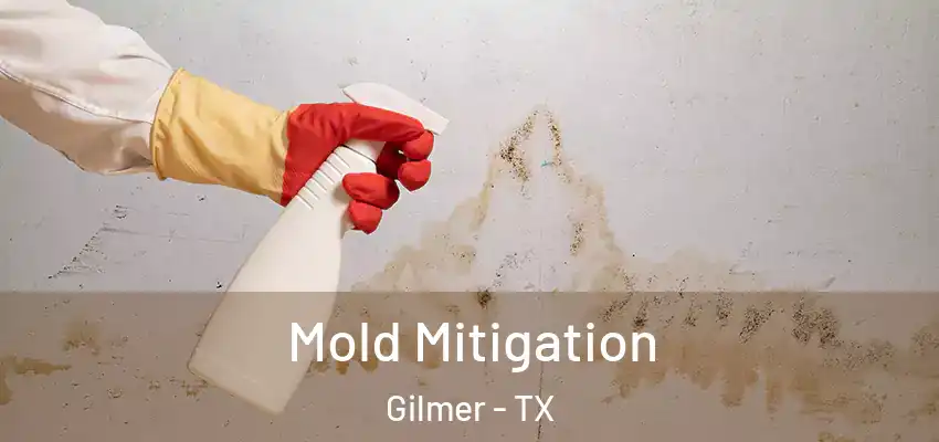  Mold Mitigation Gilmer - TX