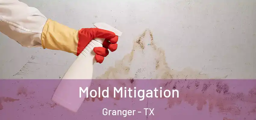  Mold Mitigation Granger - TX