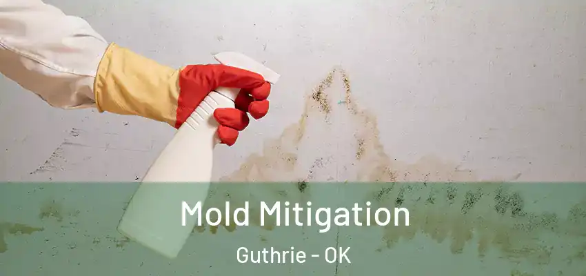  Mold Mitigation Guthrie - OK