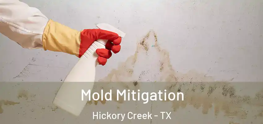  Mold Mitigation Hickory Creek - TX
