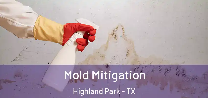 Mold Mitigation Highland Park - TX