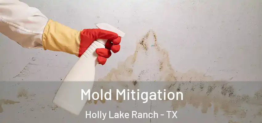  Mold Mitigation Holly Lake Ranch - TX