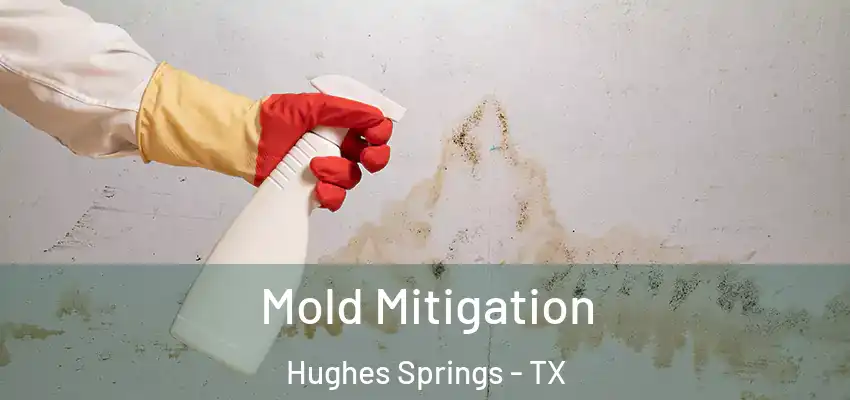  Mold Mitigation Hughes Springs - TX