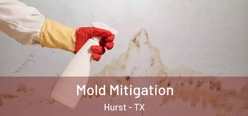  Mold Mitigation Hurst - TX