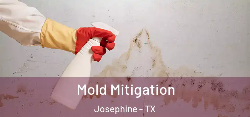 Mold Mitigation Josephine - TX