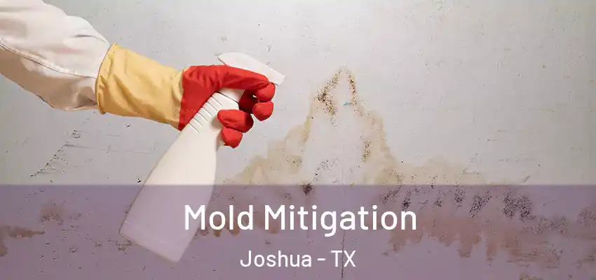 Mold Mitigation Joshua - TX