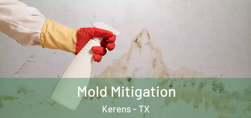  Mold Mitigation Kerens - TX