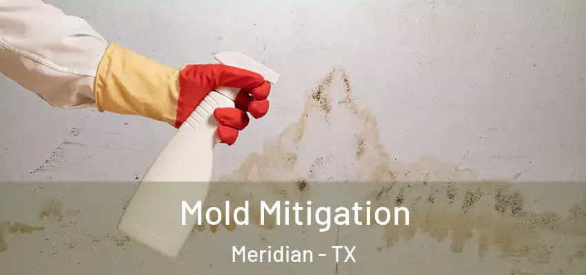  Mold Mitigation Meridian - TX