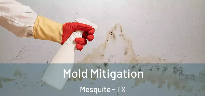  Mold Mitigation Mesquite - TX