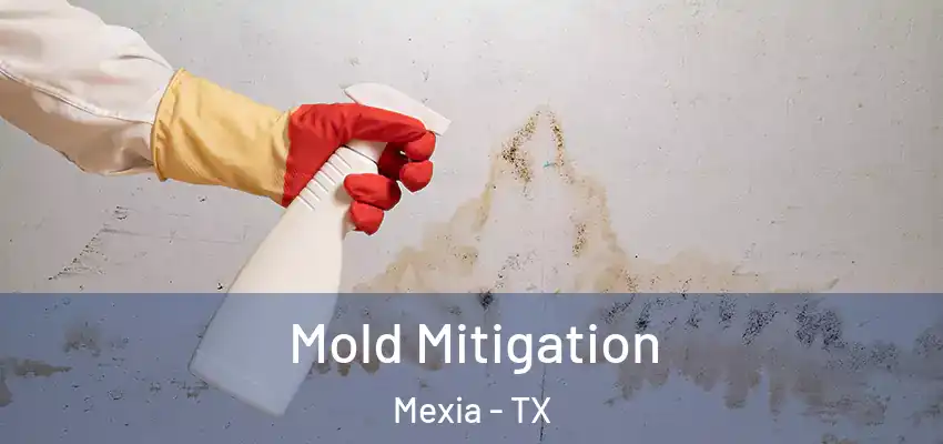  Mold Mitigation Mexia - TX