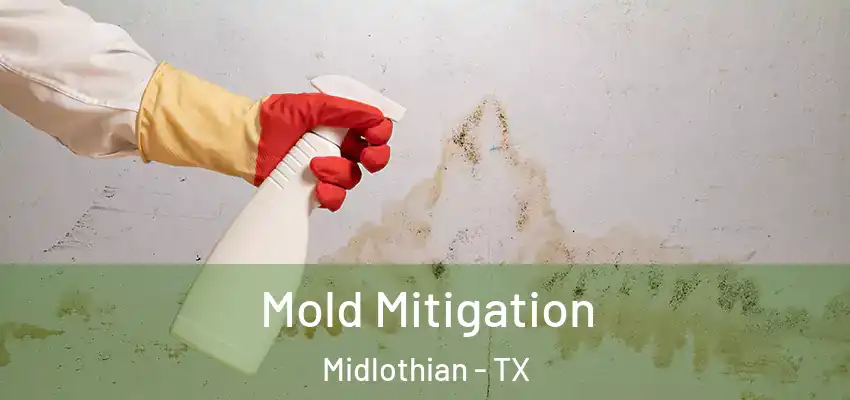  Mold Mitigation Midlothian - TX