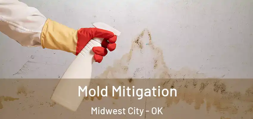  Mold Mitigation Midwest City - OK