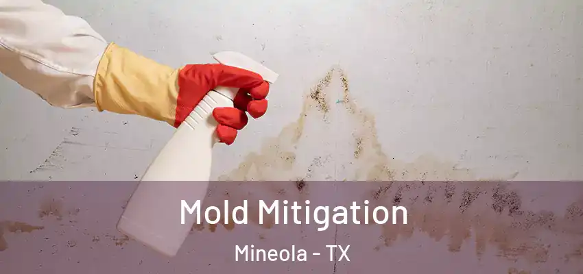  Mold Mitigation Mineola - TX