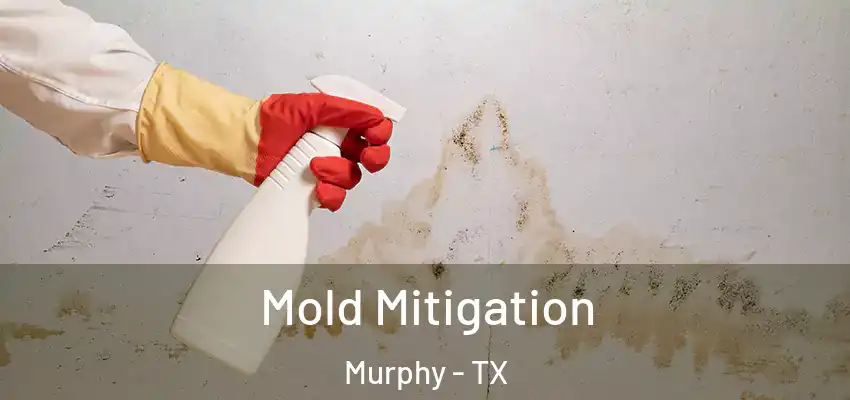  Mold Mitigation Murphy - TX