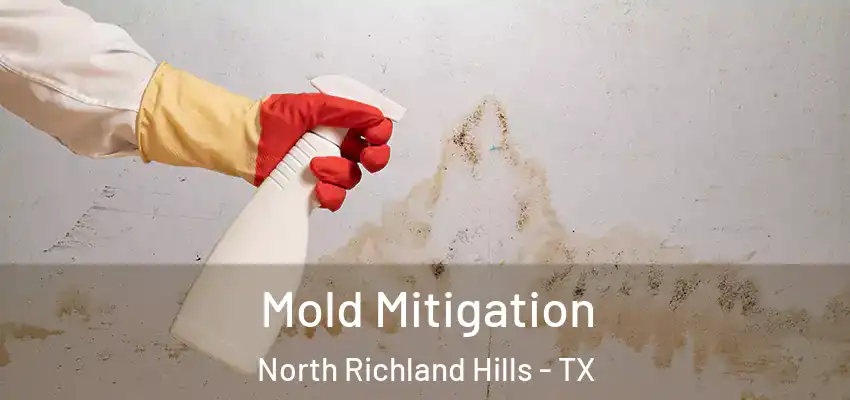 Mold Mitigation North Richland Hills - TX