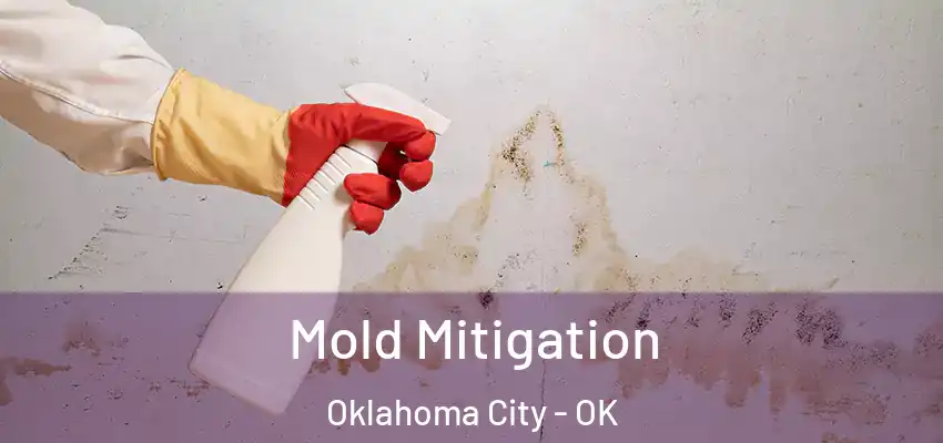  Mold Mitigation Oklahoma City - OK