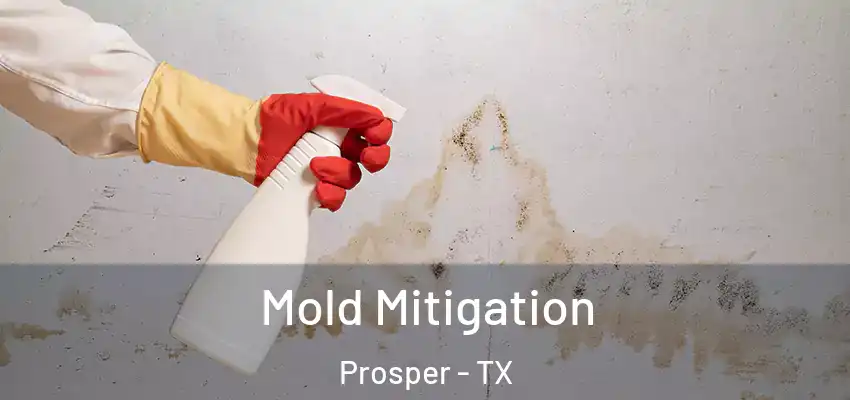  Mold Mitigation Prosper - TX