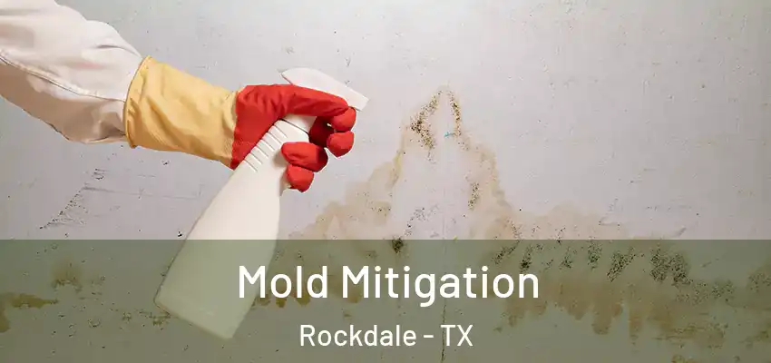  Mold Mitigation Rockdale - TX