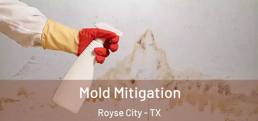 Mold Mitigation Royse City - TX