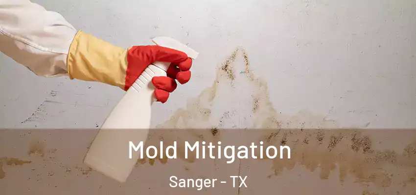  Mold Mitigation Sanger - TX