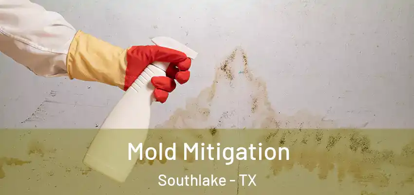  Mold Mitigation Southlake - TX