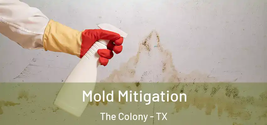 Mold Mitigation The Colony - TX