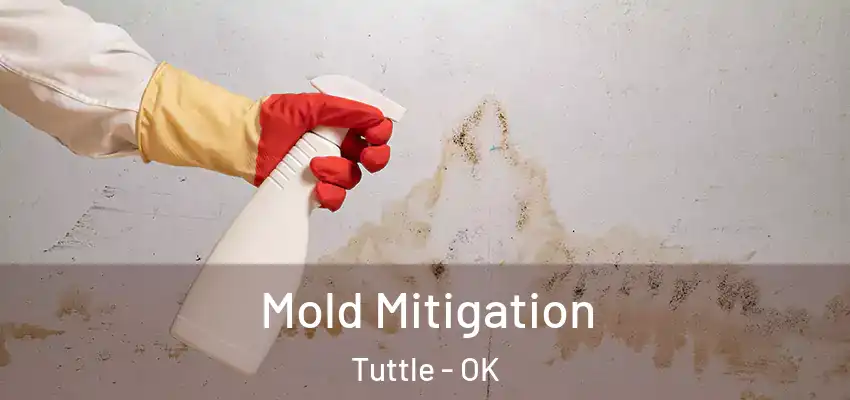 Mold Mitigation Tuttle - OK