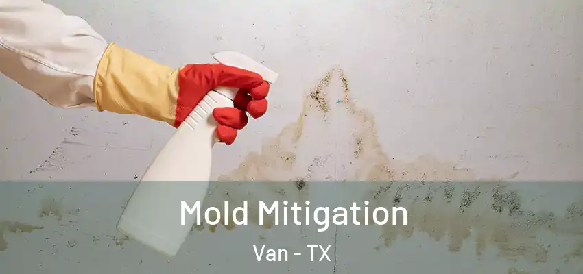  Mold Mitigation Van - TX