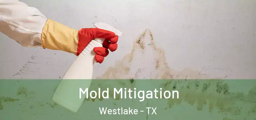  Mold Mitigation Westlake - TX