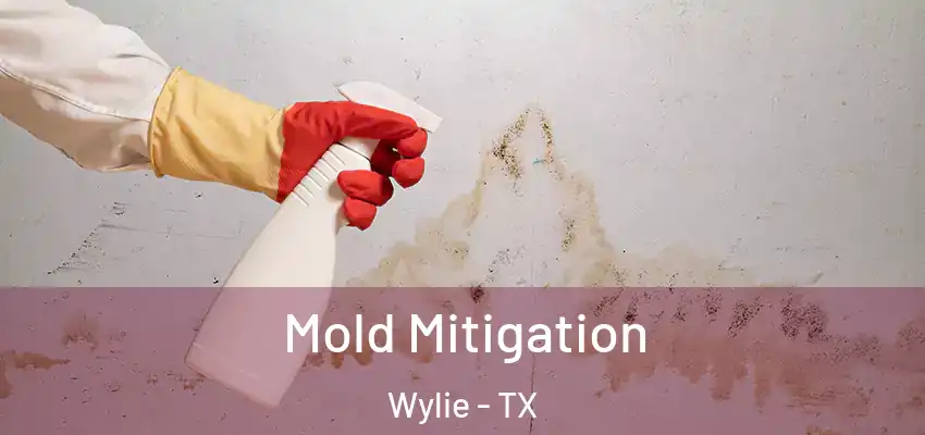 Mold Mitigation Wylie - TX