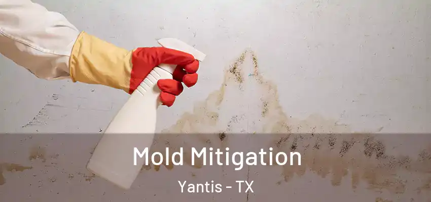  Mold Mitigation Yantis - TX