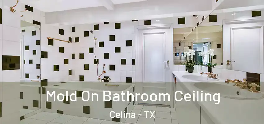  Mold On Bathroom Ceiling Celina - TX