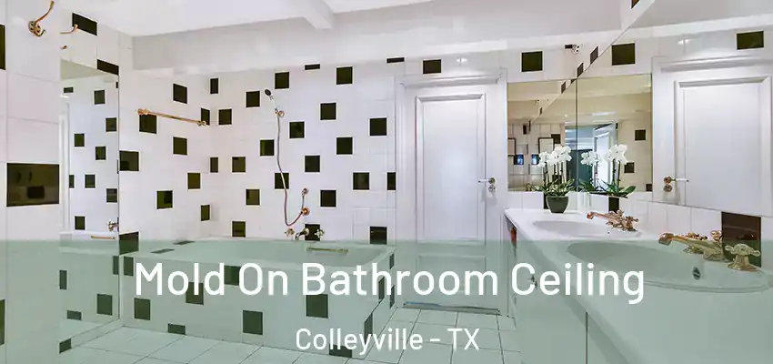 Mold On Bathroom Ceiling Colleyville - TX