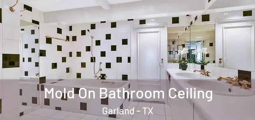  Mold On Bathroom Ceiling Garland - TX