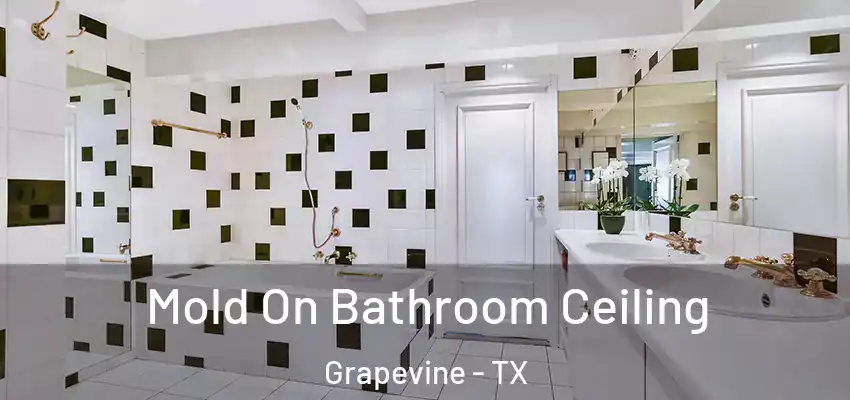 Mold On Bathroom Ceiling Grapevine - TX