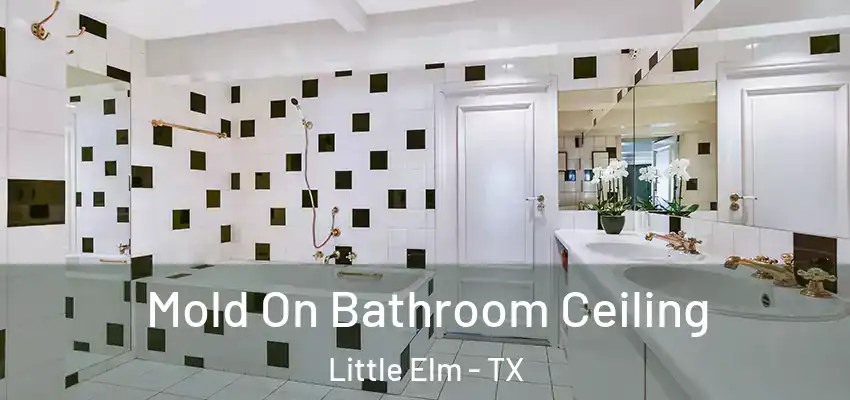 Mold On Bathroom Ceiling Little Elm - TX