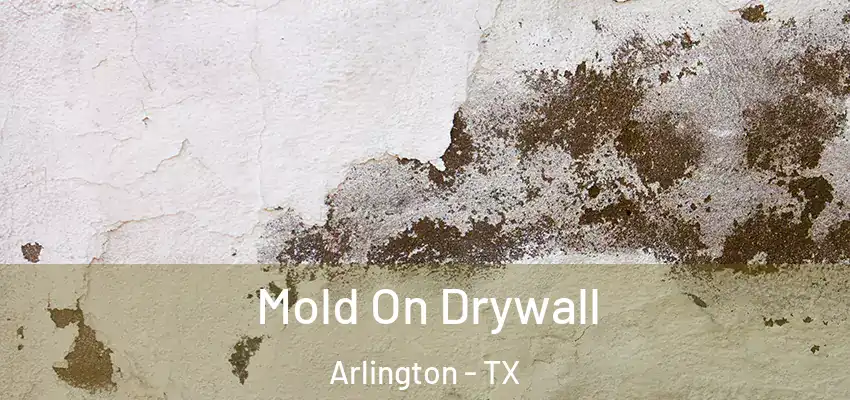  Mold On Drywall Arlington - TX