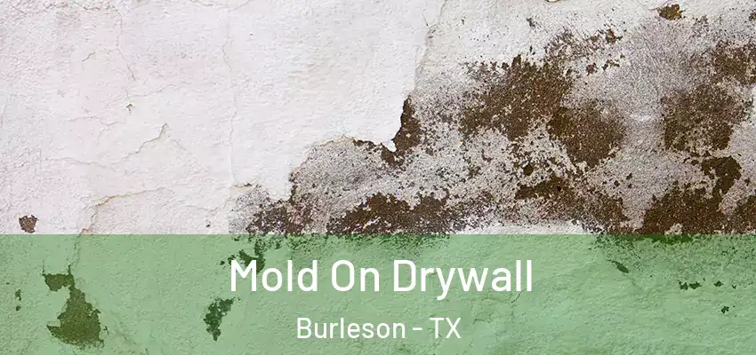  Mold On Drywall Burleson - TX