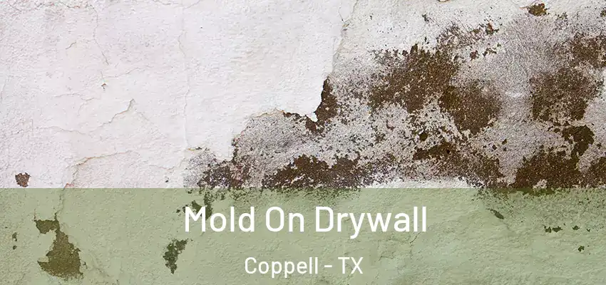  Mold On Drywall Coppell - TX