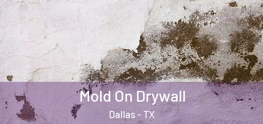  Mold On Drywall Dallas - TX