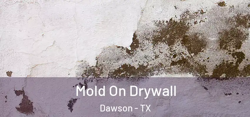 Mold On Drywall Dawson - TX