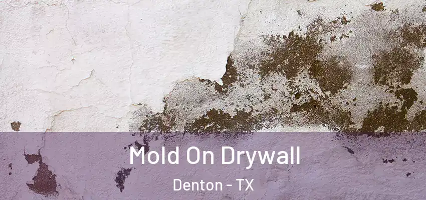  Mold On Drywall Denton - TX