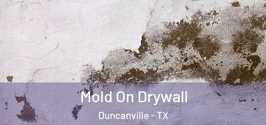  Mold On Drywall Duncanville - TX