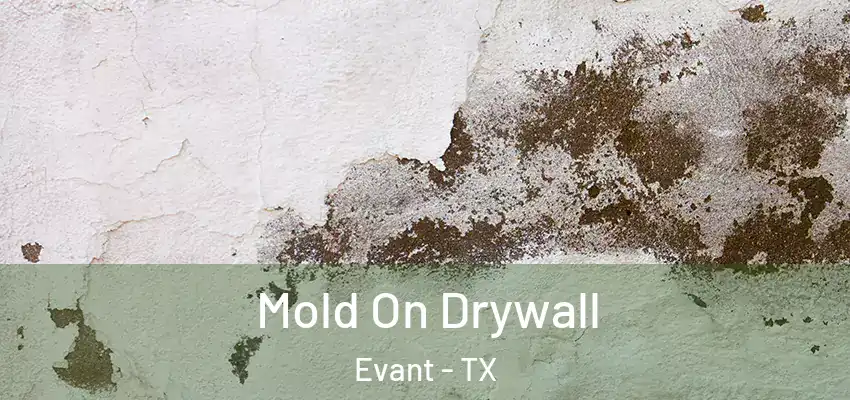  Mold On Drywall Evant - TX
