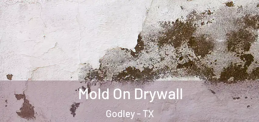  Mold On Drywall Godley - TX